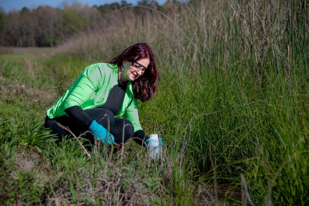 Woman crouched down holding a plastic container sampling water in constructed wetlands.
