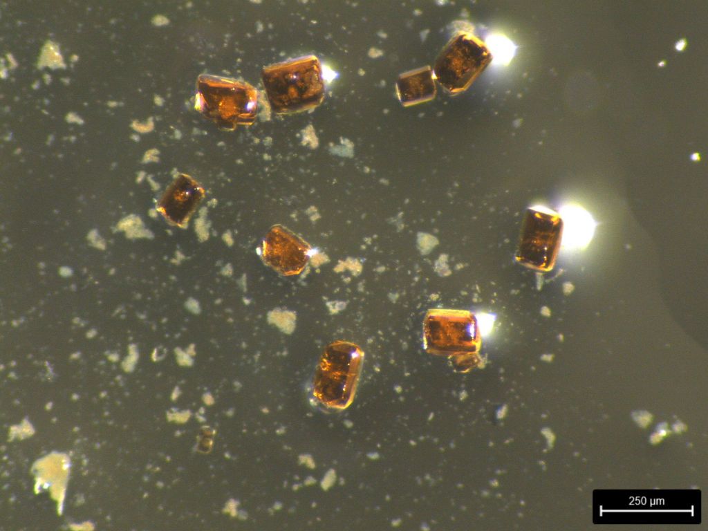 Image of radioactive Na3GaPu6F30 crystals grown in the SRNL radiological laboratories. (SRNL image) 