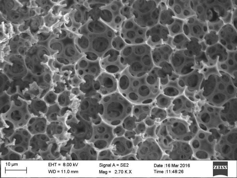 Patent Awarded for Surface Grafted High Internal Phase Emulsion Foams for Chemical Separations