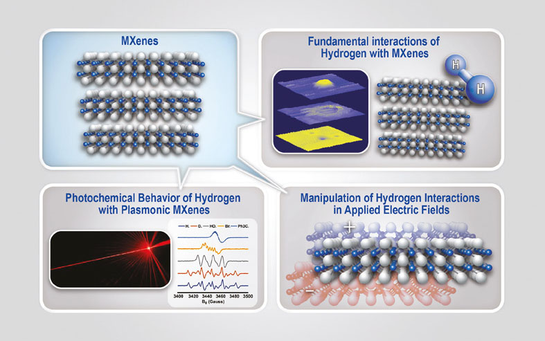 Diagram depicting behavior and interactions of MXenes