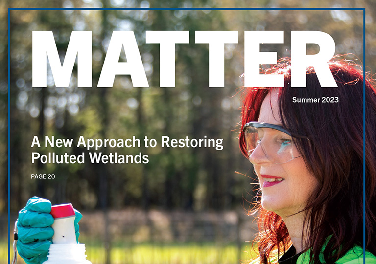 Matter, summer 2023, a new approach to restoring polluted wetlands.