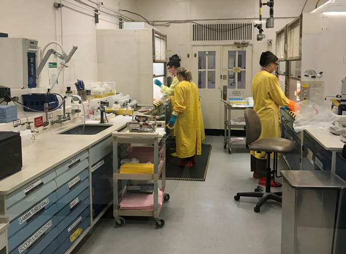 scientists in lab coats working in a laboratory
