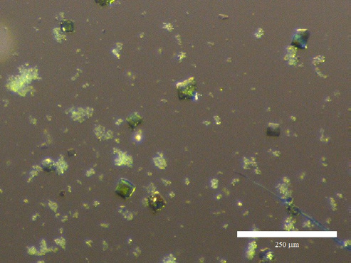 faceted single crystals of NpMnF3 compounds prepared in SRNL’s radiological facilities.