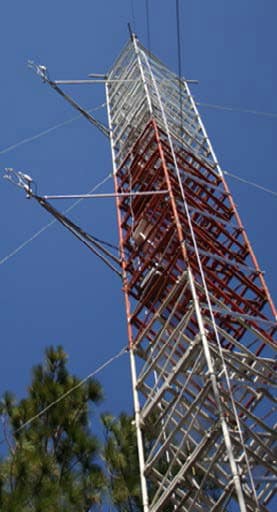 carbon flux measurement