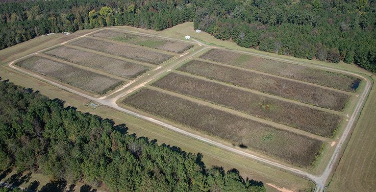 Aerial view of rectangles of grass