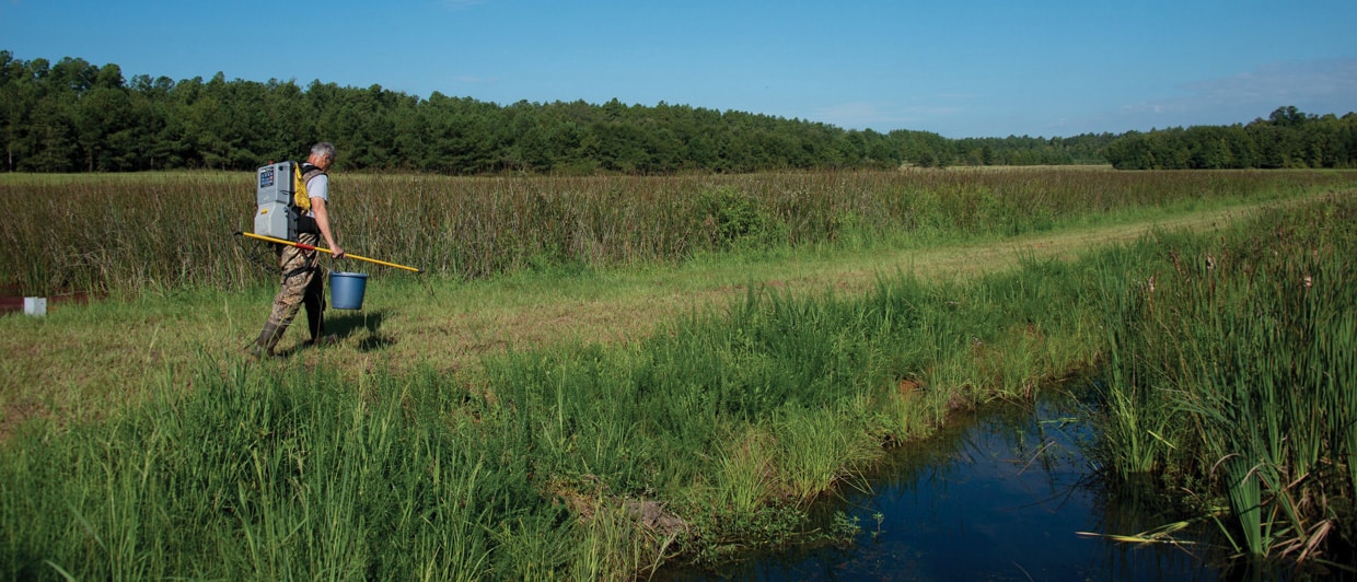 A man walking in grass by a small body of water